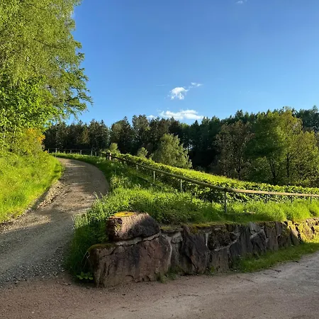 Auszeit Im Wald - Mit Schwimmbad!