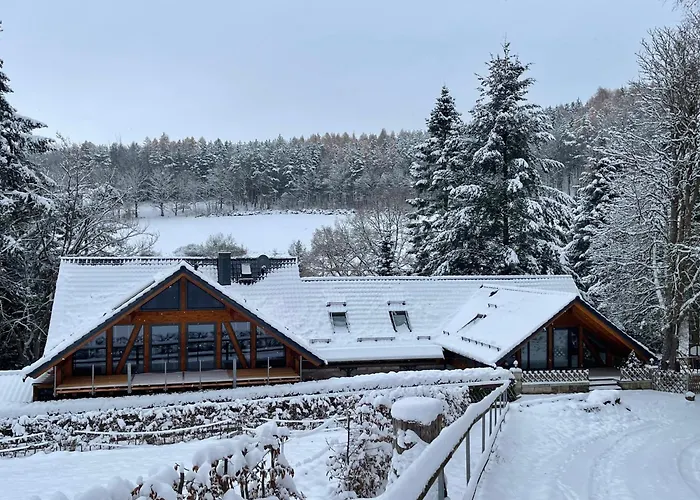 Auszeit Im Wald - Mit Schwimmbad! * Hessles