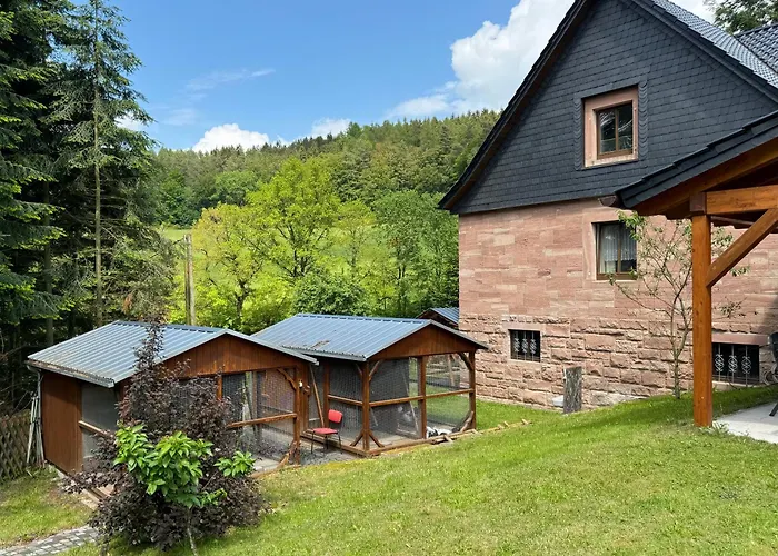 Auszeit Im Wald - Mit Schwimmbad! Apartament