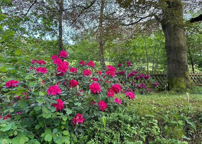 Auszeit Im Wald - Mit Schwimmbad! Apartament *