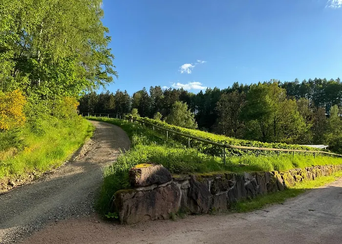 Auszeit Im Wald - Mit Schwimmbad!