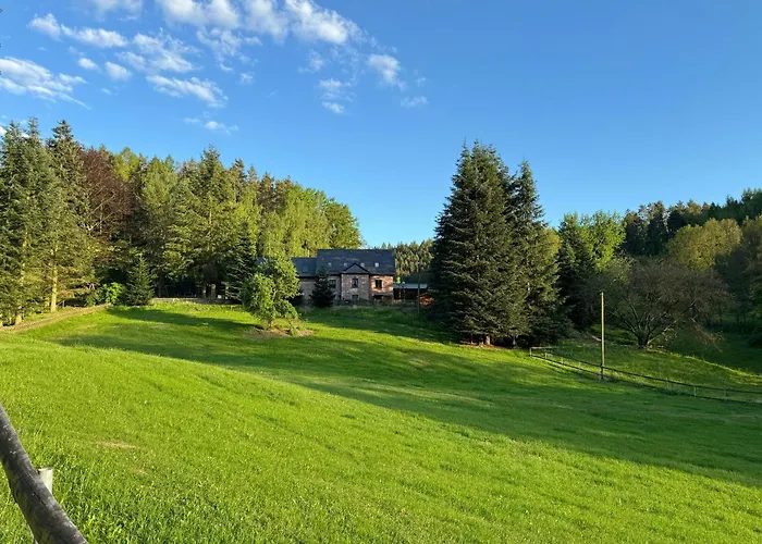 Auszeit Im Wald - Mit Schwimmbad!