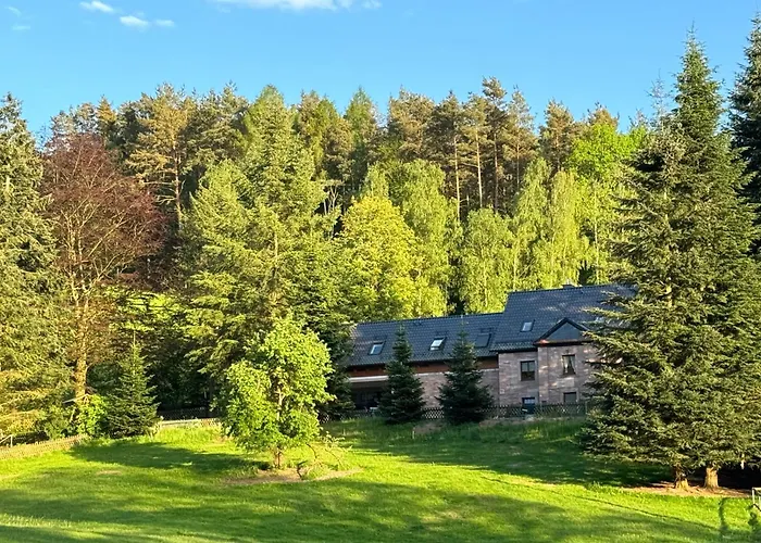 Auszeit Im Wald - Mit Schwimmbad! Apartament *