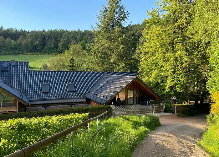 Auszeit Im Wald - Mit Schwimmbad! Hessles